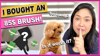 BEST BRUSH FOR POODLES?| Unboxing the Chris Christensen Big G Slicker Brush| The Poodle Mom