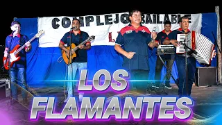 LOS FLAMANTES - 16/3/2024 - COMPLEJO BAILABLE LA AMISTAD