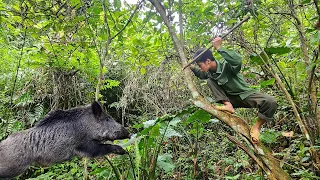 FULL VIDEO : 100 days of survival alone, hunting for food |-Wild survival.