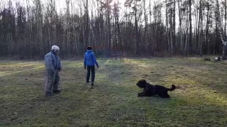 РЧТ Ружа,1,7года,выдержка,защита с перехватом