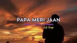 PAPA MERI JAAN (Slowed + Reverbed) | Animal | Ranbir Kapoor