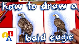 How To Draw A Realistic Bald Eagle