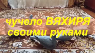 чучело вяхиря своими руками