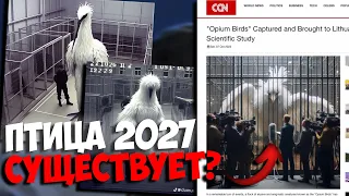 ПТИЦА ИЗ 2027 ГОДА ПОПАЛА В НОВОСТИ! // Конец мема с птицей из 2027 года