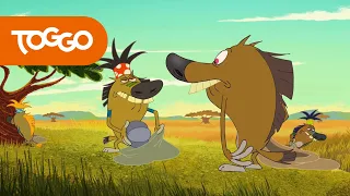 Zig und Sharko 🤠  Hyänen 🤠 Volledige aflevering in HD