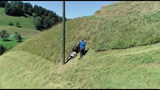 Steilhang 🇨🇭 Ökoheu mähen mit Brielmaier