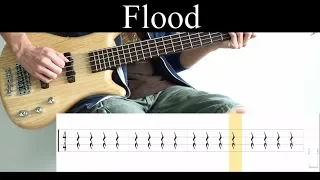 Flood (Tool) - Bass Cover (With Tabs) by Leo Düzey