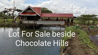 AFFORDABLE LOT FOR SALE @FAMOUS CHOCOLATE HILLS  in BOHOL | BOHOL PHILIPPINES