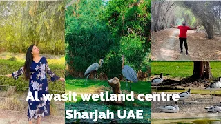 wasit wetland centre sharjah UAE# Bird sanctuary # tourist spot in Sharjah #summer 2023