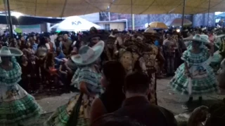 San Pablotón 2017 - Comparsa Faisanes