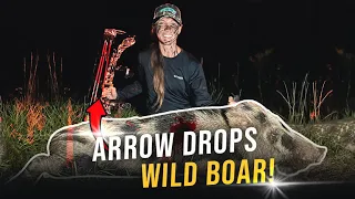Arrow Knocks Wild Boar Off His Feet! Delicious Wild Pork Kabobs