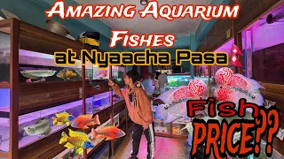 Aquarium Fish Update at Nyaacha Pasa an Amazing Aquarium store at Panga #aquariumshop #aquariumfish