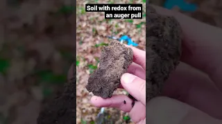 Soil redox from an auger pull