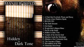 Master Toad - Hidden in Dark Tone (Full Album)