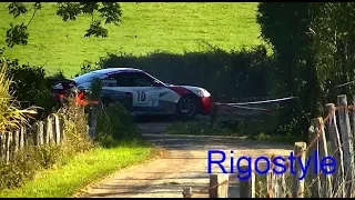 Rallye du Suran 2017 Crash, On The Limit By Rigostyle