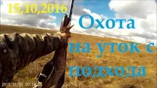 Охота на уток.Duck Hunting.15,10,2016