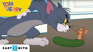 Tom and Jerry | Bang voor komkommers | Cartoonito