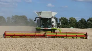 Claas Lexion 780TT Working Hard in The Wheat Field | JD 8100 Pure Sound | Harvest 2018 | Danish Agri