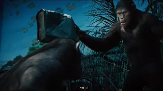 Rise of the Planet of the Apes (2011) - Caesar Releases Buck and Rocket Surrenders Movie Clip [HD]