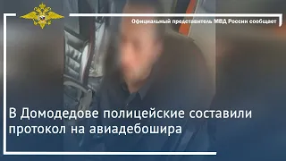 В Домодедове полицейские составили протокол на авиадебошира