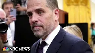 IRS whistleblower in Hunter Biden probe concerned on how investigation was handled