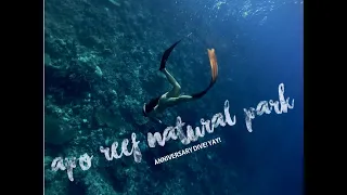 Diving in Apo Reef Natural Park, Sablayan, Mindoro Occidental