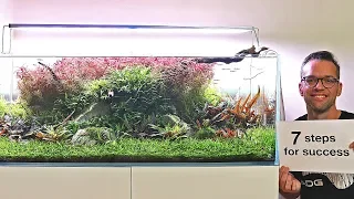 7 PROVEN Steps to Aquascape SUCCESS