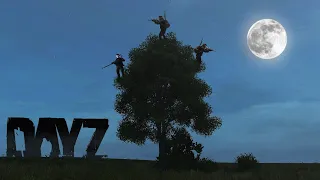 Only in DAYZ...