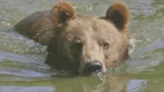 The Legend of The Sleeping Bear Dunes