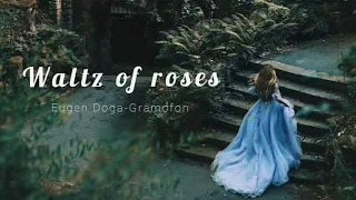 Waltz of roses