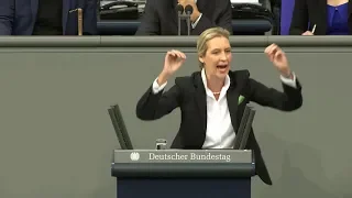 WEIDEL KÄMPFT: "Also gut, reden wir über Spenden und Parteifinanzierung"