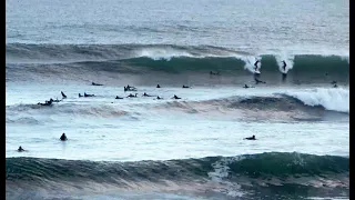 Santa Cruz Surf Scene: Nov. 6, 2020 @ Steamer Lane
