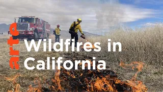 California: Fighting Fire with Fire I ARTE.tv Documentary