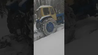 ЮМЗ-6 з пвм т-40 перші випробування, веземо дрова.