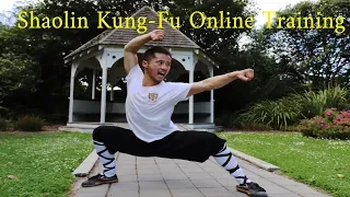 Shaolin Lian Huan Quan Online Training Tutorial Part 1 少林连环拳 Martial Arts for beginners