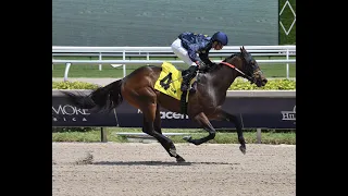 Gulfstream Park Resumen -15 de Marzo 2024