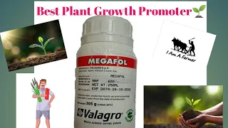 Best growth regulator for all Crops // Valagro megafol // best plant growth promoter// best  tonic