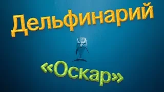 🐬Дельфинарий "Оскар" 🐬 ПОЛНОЕ ПРЕДСТАВЛЕНИЕ 🐬 Красивейшее шоу дельфинов 🐬