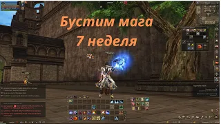 7 неделя немного буста Архимаг Фер / Сорк / Lineage 2 Main / Линейдж 2