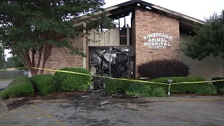 Fire Destroys Animal Hospital