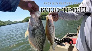 How To Slip Cork For MONSTER Crappie! | Best Slip Bobber & Minnow Rig! #fishing #fishingvideo