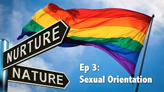 The Psychology of Sexual Orientation