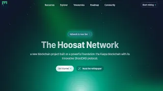 Hoosat Network МАЙНЮ НА ВИДЕОКАРТАХ 4070 4070ТИ 4070ТИ СУПЕР 4080. RAVE OS