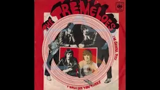 I WILL SEE YOU THERE TREMELOES (2022 MIX)