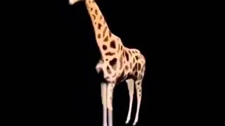 BUTTt NAKEDD NASTY  Giraffe dancing