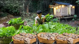 Gardening,Harvesting vegetables, Find Frog Goes to market sell-Cooking. 1 Year Living Off Grid Cabin