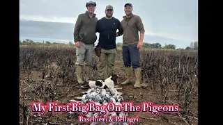 My First Big Bag On The Pigeons | Decoying Pigeons | Baschieri & Pellagri