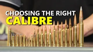 How to choose a rifle calibre/cartridge