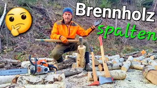 Welcher ist der beste Holzspalter🪓Spalthammer vs Spaltaxt 🌲Raus in den Wald 🔥Brennholz selber machen