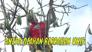 [FULL] ANEKA OLAHAN BERBAHAN UNIK | JEJAK SI GUNDUL (17/05/23)